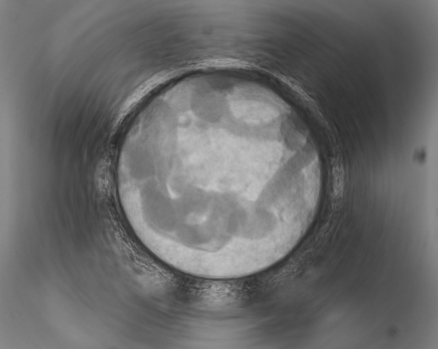 X0000115321266200911301550