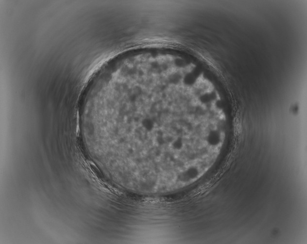 X0000115321267200911301550