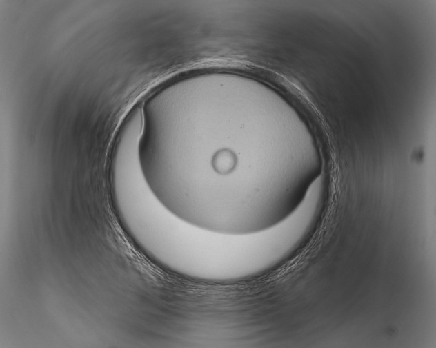 X0000115321268200911301550