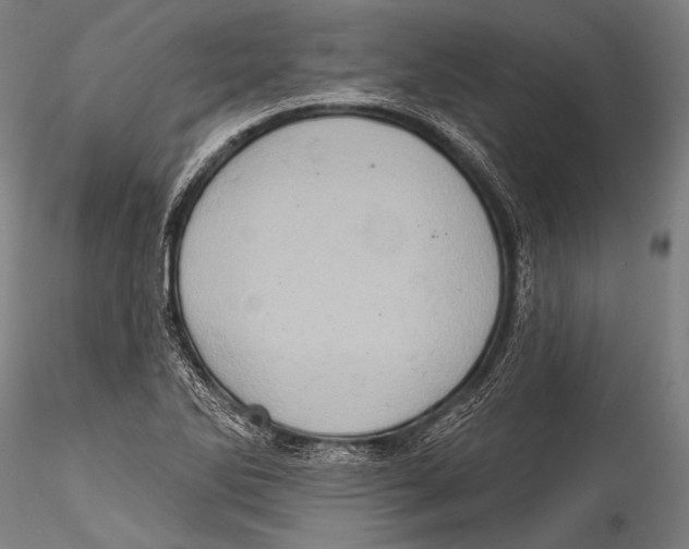 X0000115321270200911301550