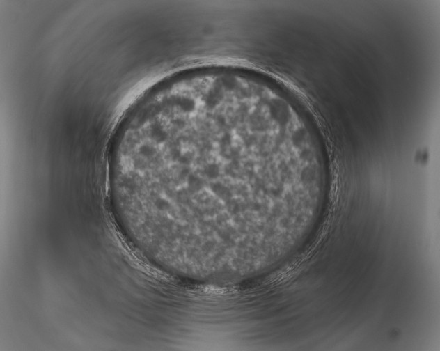 X0000115321271200911301550