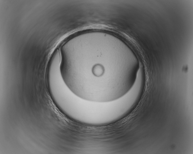 X0000115321272200911301550