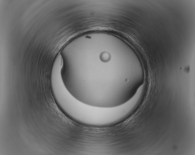 X0000115321273200911301550