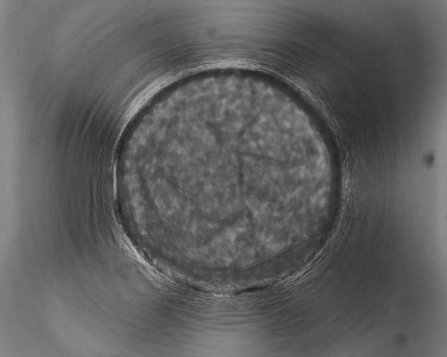 X0000115321274200911301550