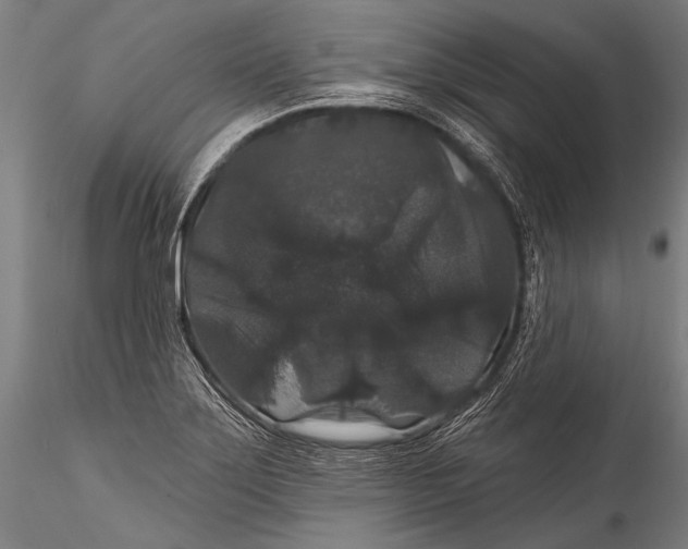 X0000115321275200911301550