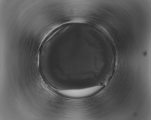 X0000115321276200911301550