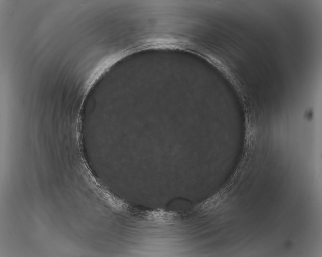 X0000115321277200911301550