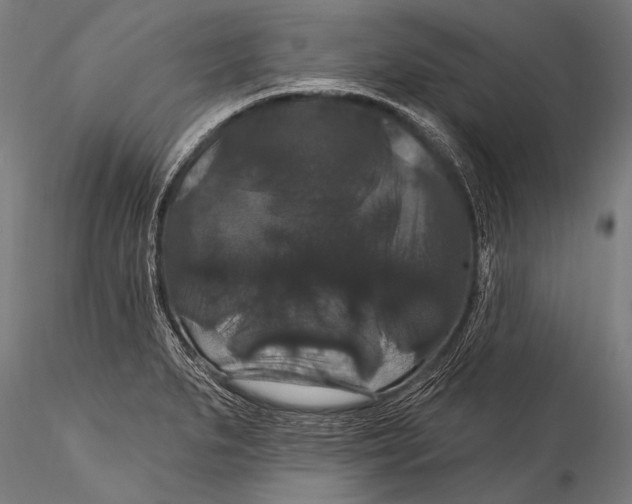 X0000115321279200911301550