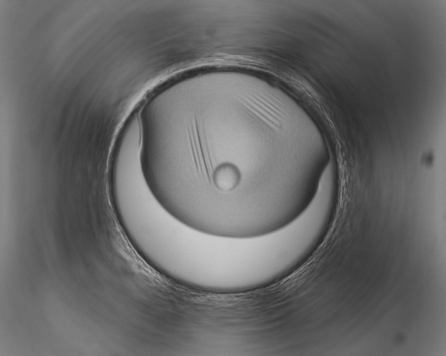 X0000115321280200911301550