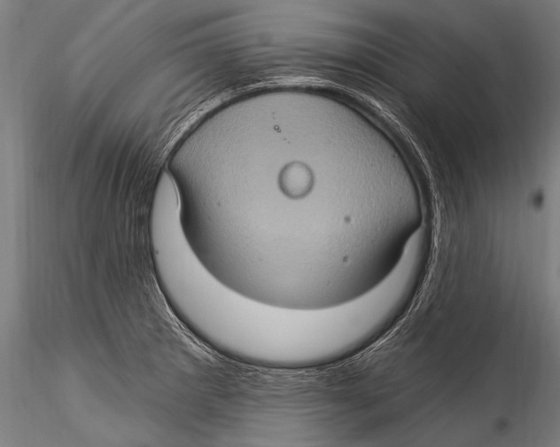 X0000115321281200911301550