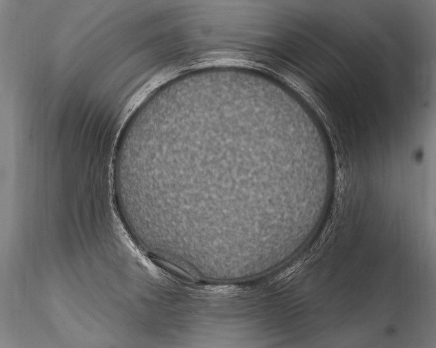 X0000115321282200911301550