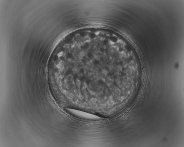 X0000115321283200911301550