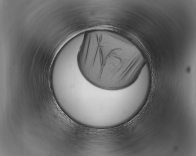 X0000115321284200911301550