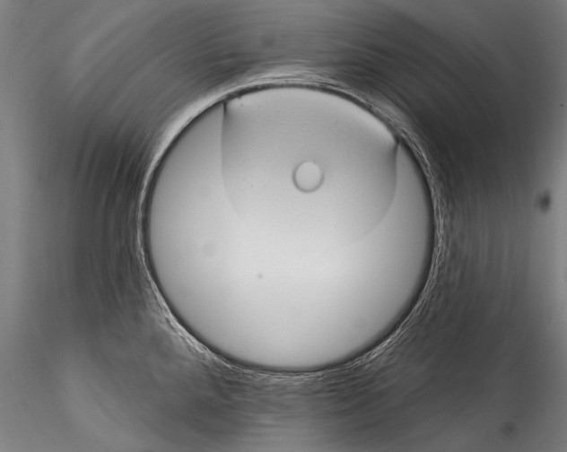 X0000115321288200911301550