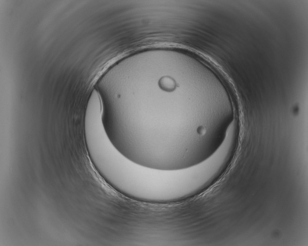 X0000115321289200911301550