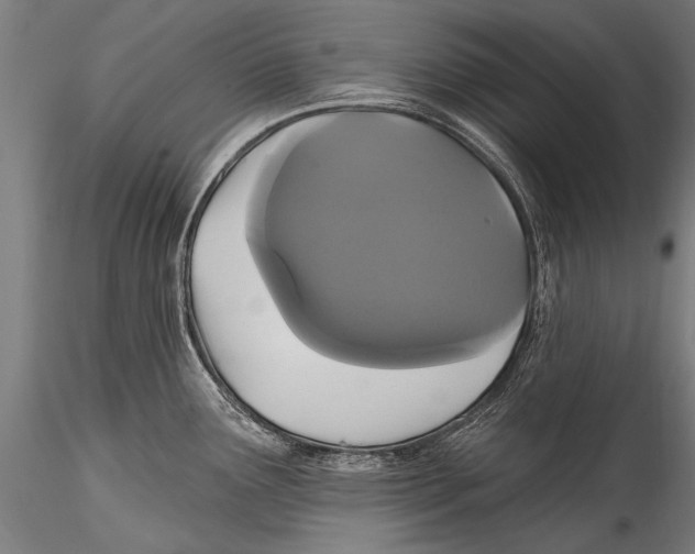 X0000115321291200911301550