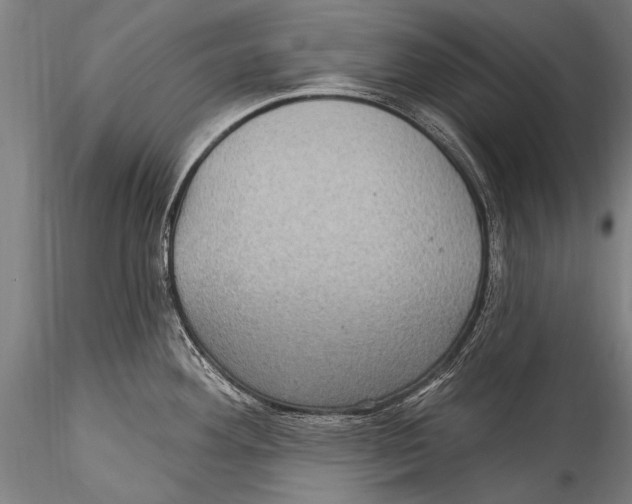 X0000115321292200911301550