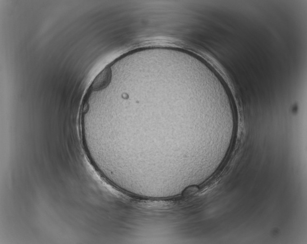 X0000115321293200911301550