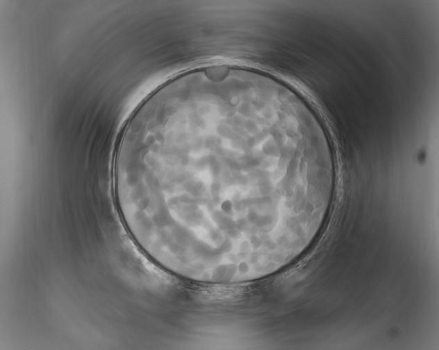 X0000115321294200911301550