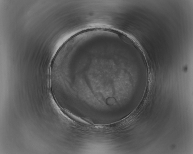 X0000115321295200911301550