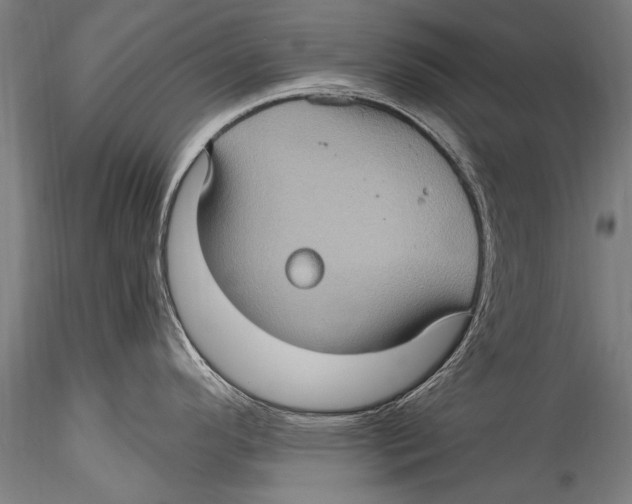 X0000115321296200911301550