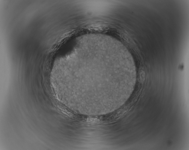 X0000115321297200911301549