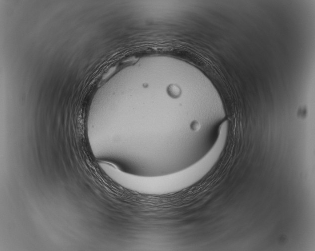 X0000115321298200911301549