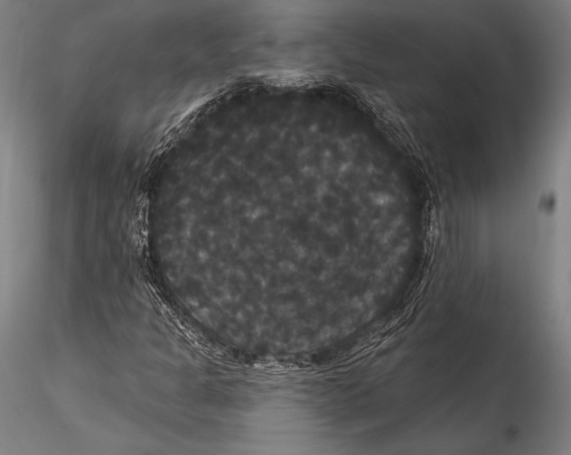 X0000115321301200911301549