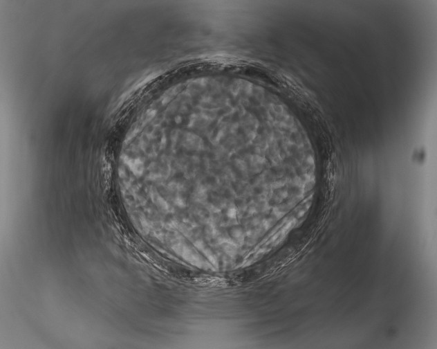 X0000115321302200911301549