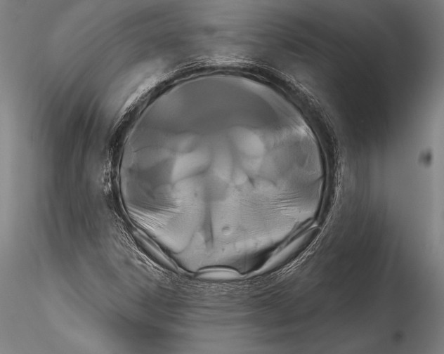 X0000115321306200911301549