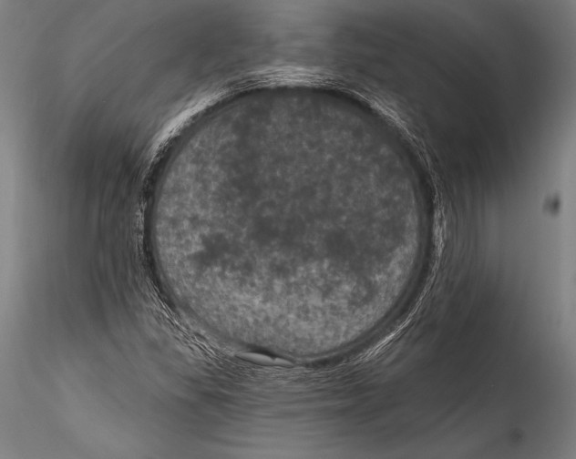 X0000115321309200911301549