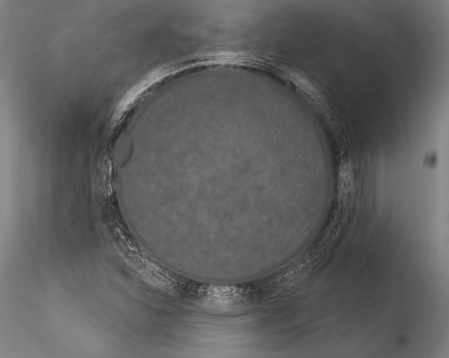 X0000115321310200911301549