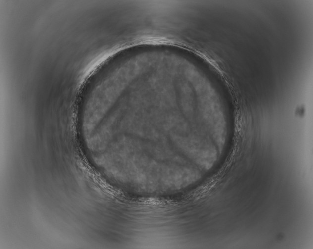 X0000115321311200911301549