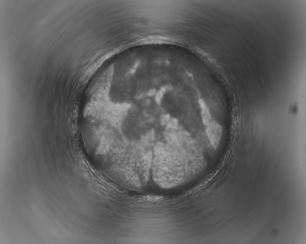 X0000115321313200911301549