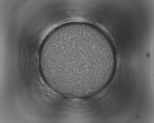 X0000115321318200911301549