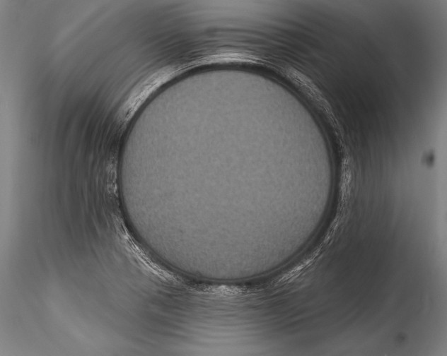 X0000115321321200911301549