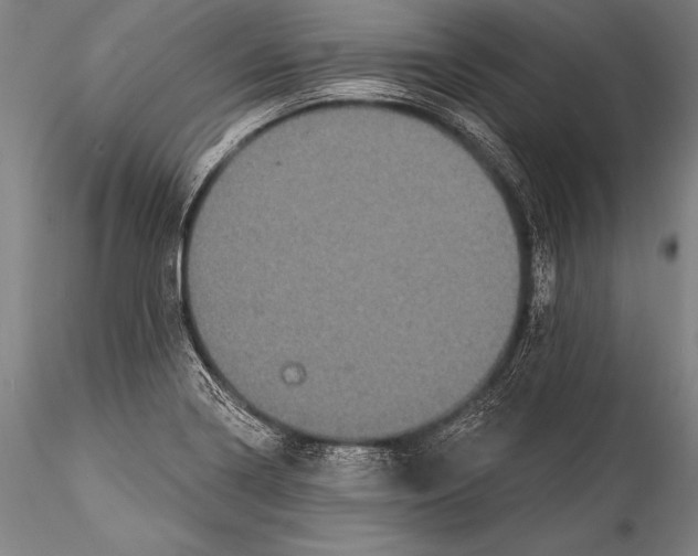 X0000115321322200911301549