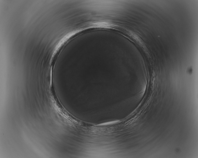 X0000115321323200911301549