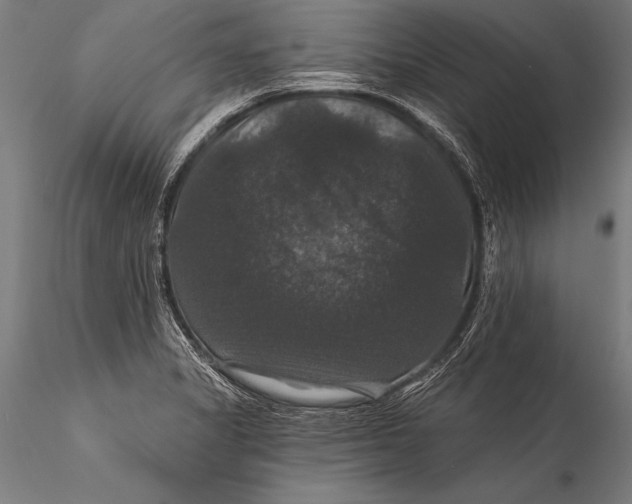 X0000115321325200911301549