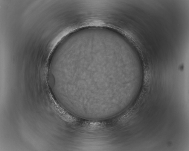 X0000115321326200911301549