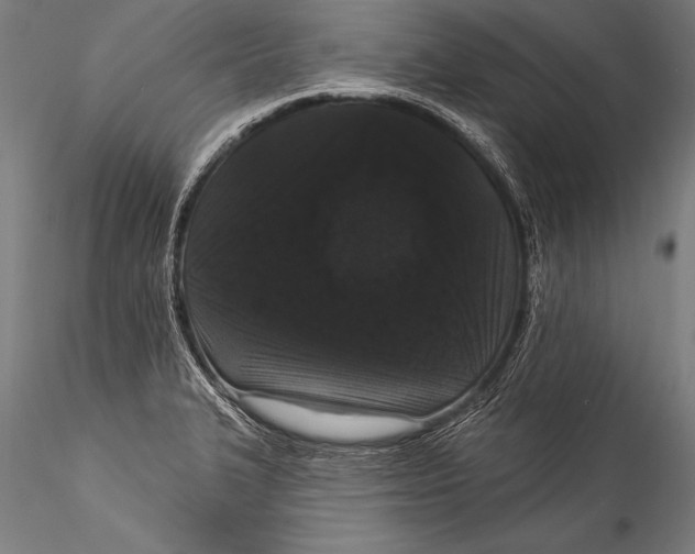 X0000115321327200911301549