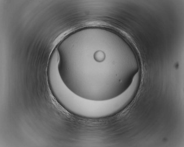 X0000115321330200911301549