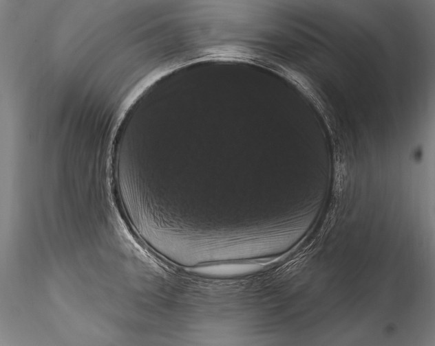 X0000115321331200911301550