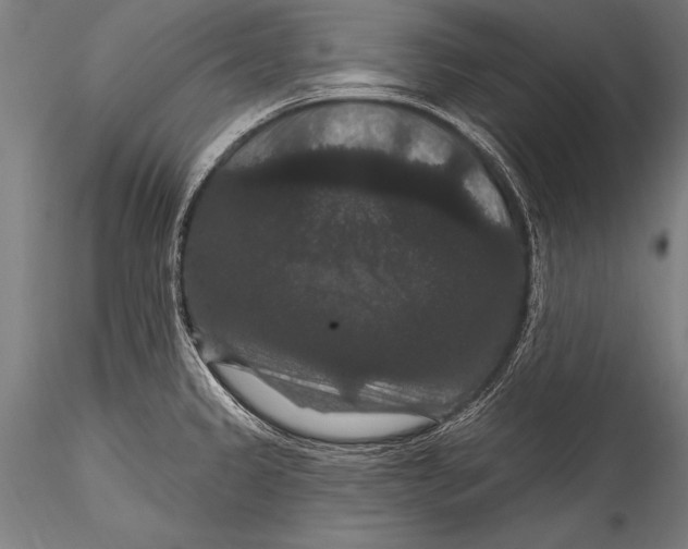 X0000115321333200911301550