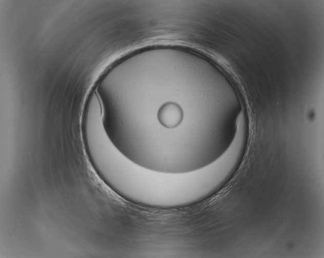 X0000115321334200911301550