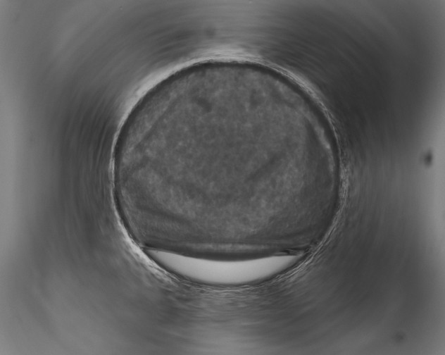 X0000115321335200911301550