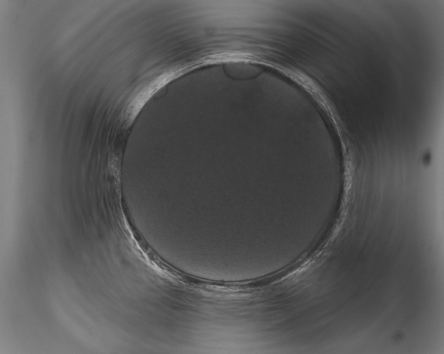 X0000115321337200911301550