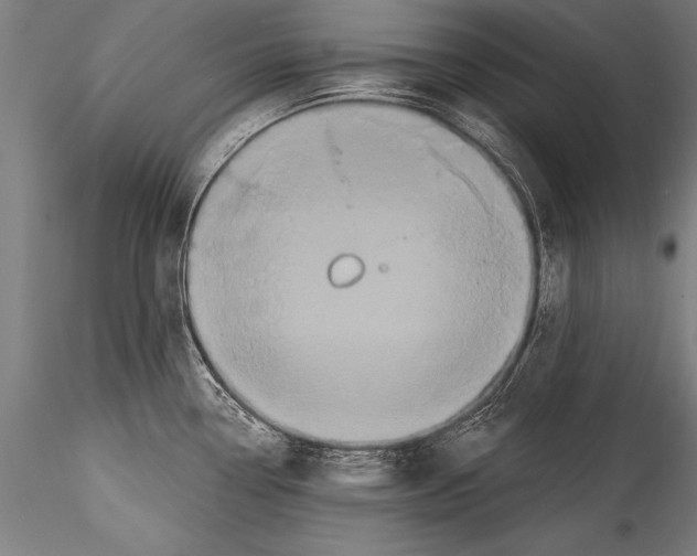 X0000115321338200911301550