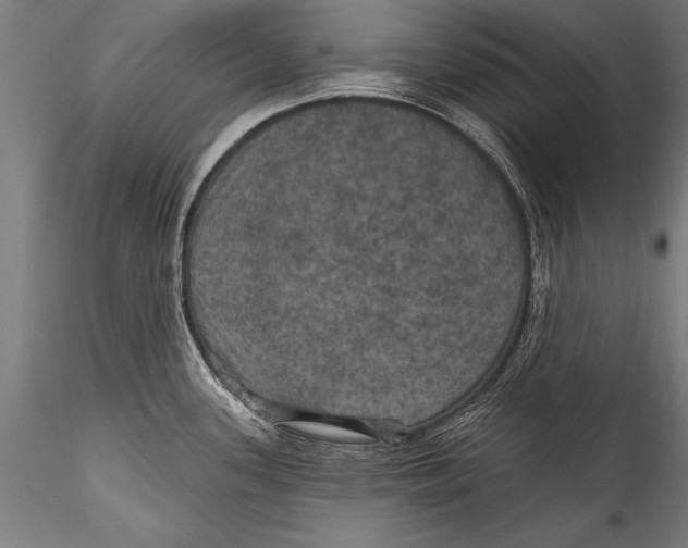 X0000115321339200911301550