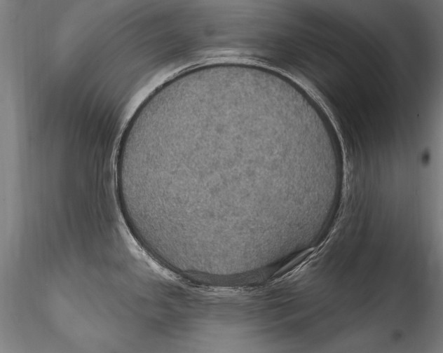 X0000115321341200911301550